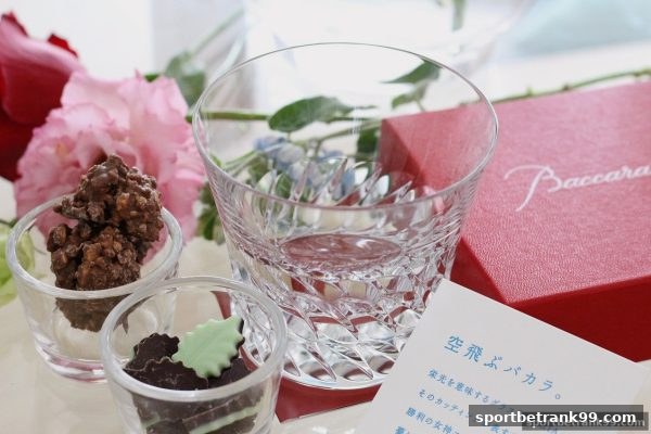 体育博彩公司深度解析：MG真人平台反击计划的实战策略