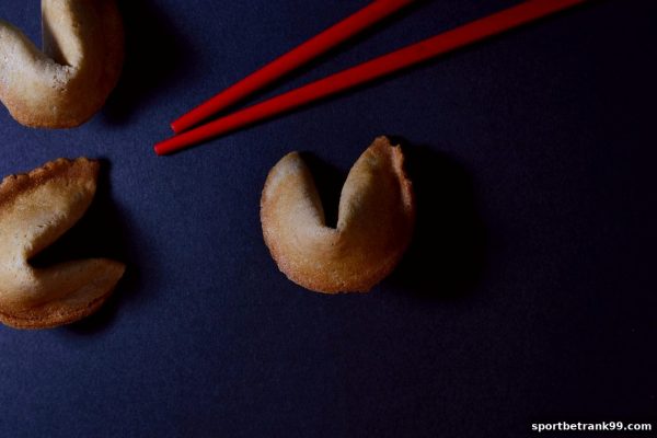 体育博彩公司深度指南：北京赛车追号策略全解析与实战技巧