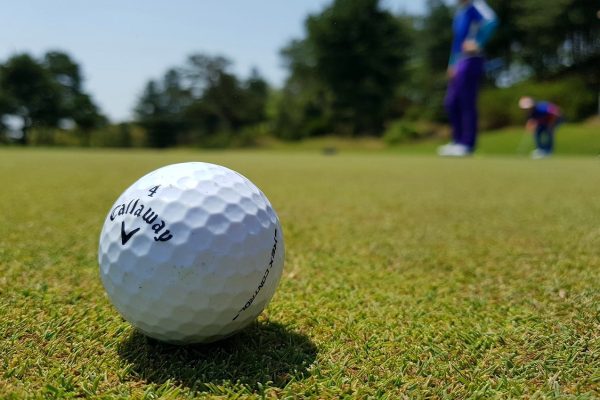 体育博彩公司深度解析：彩票玩法、概率逻辑与无流水红利实战指南